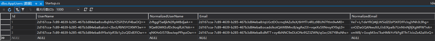 Asp.Net Core Identity 隐私数据保护-xss云之家