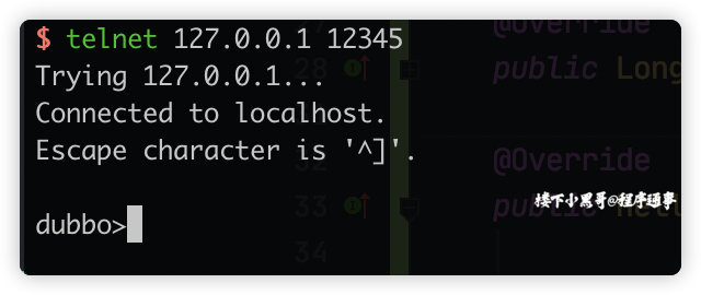 每日一技|巧用 Telnet 调试 Dubbo 服务-xss云之家